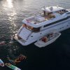 Motor Yacht Princess Lona Tenders and Toys